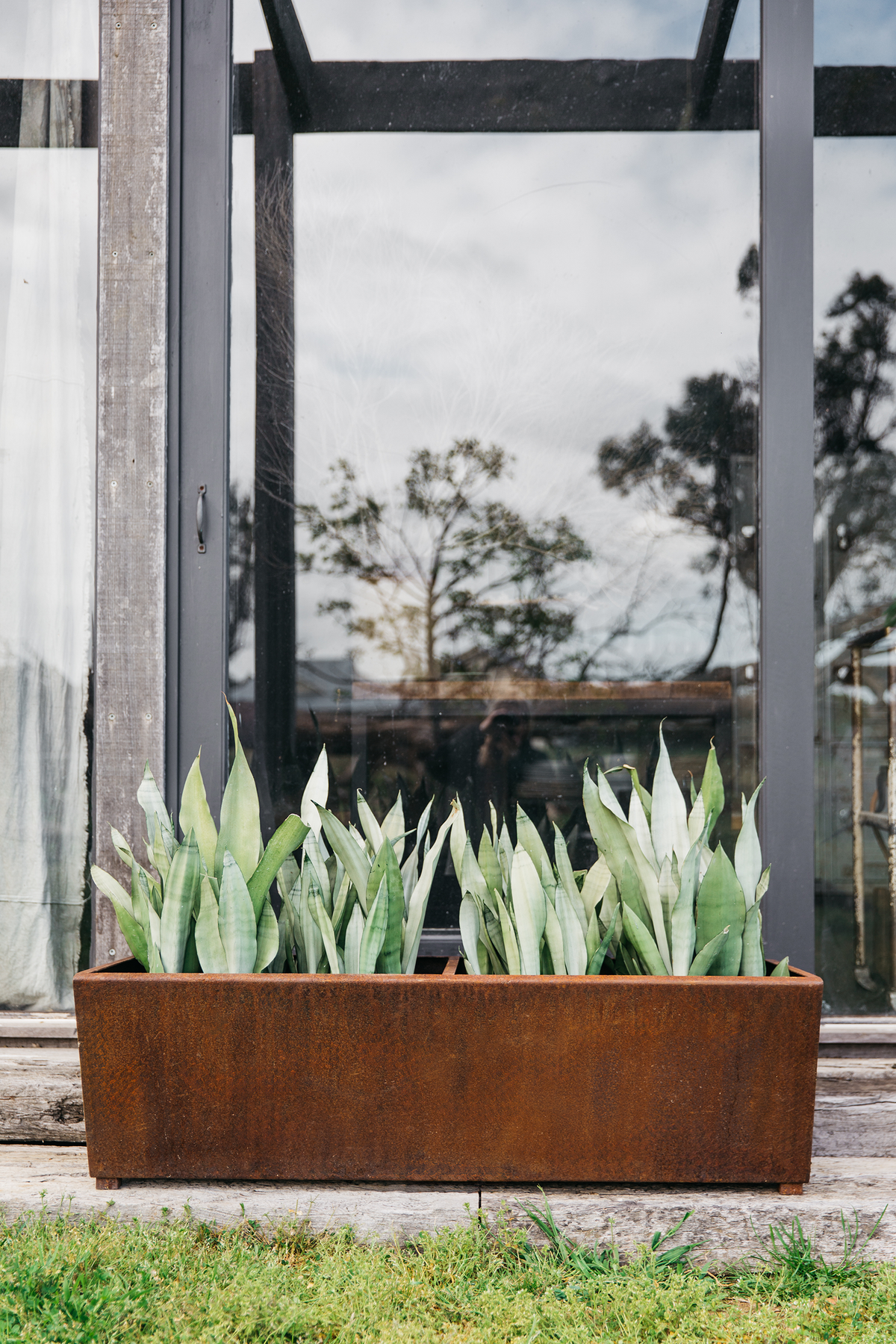 Trough Planter