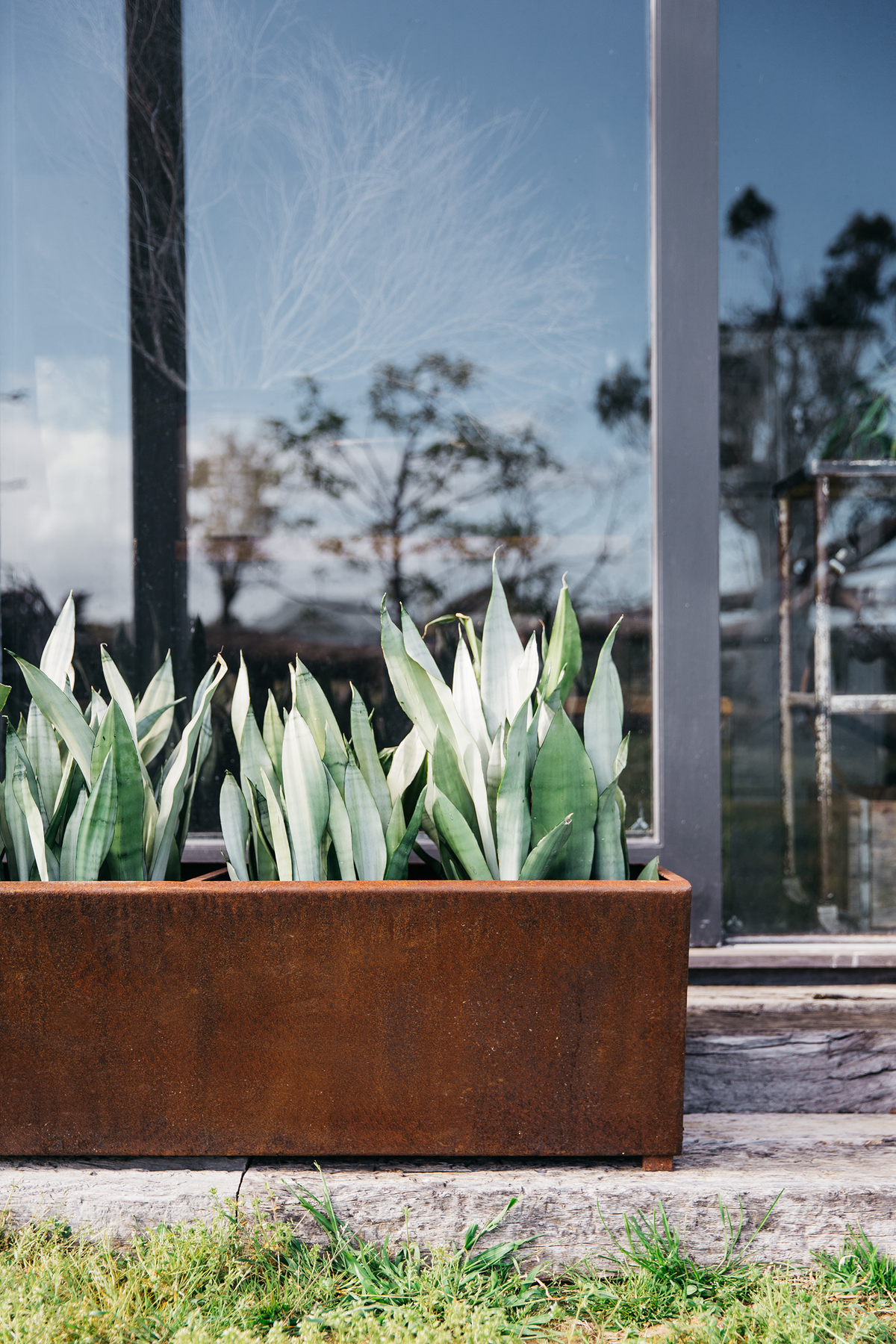 Trough Planter