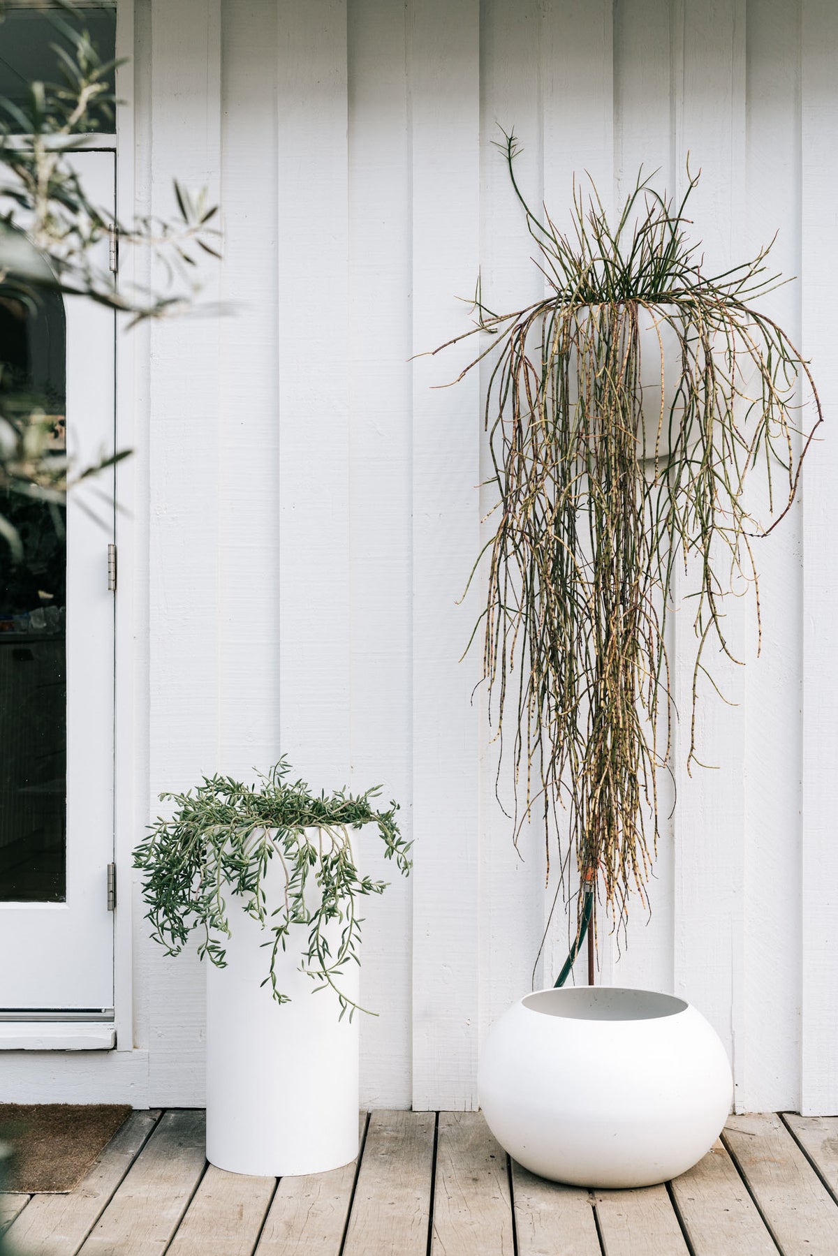 Wall Planter