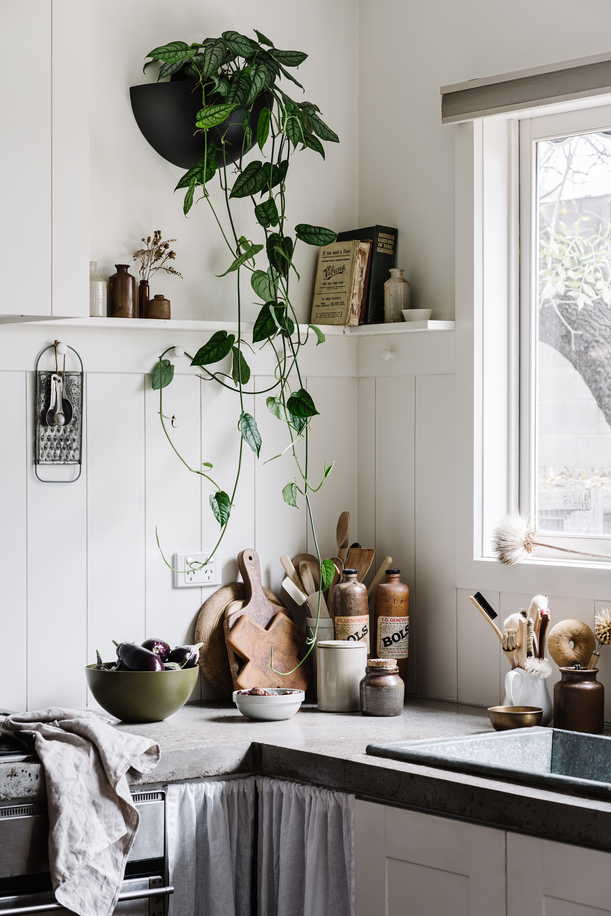 Wall Planter