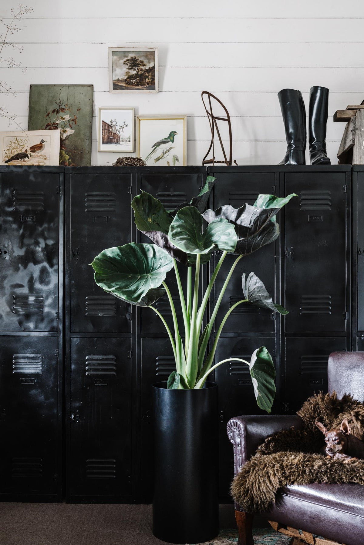 Cylinder Planter